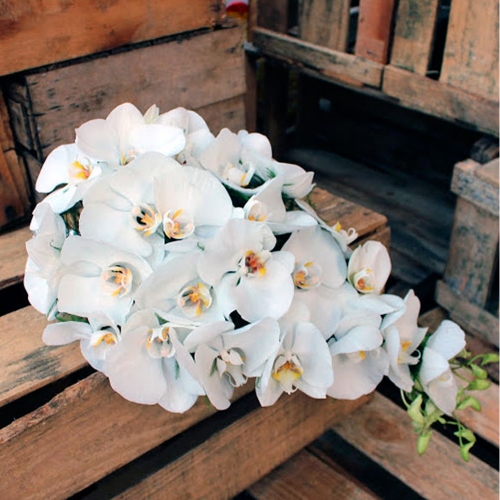 Buquê cascata de orquídeas